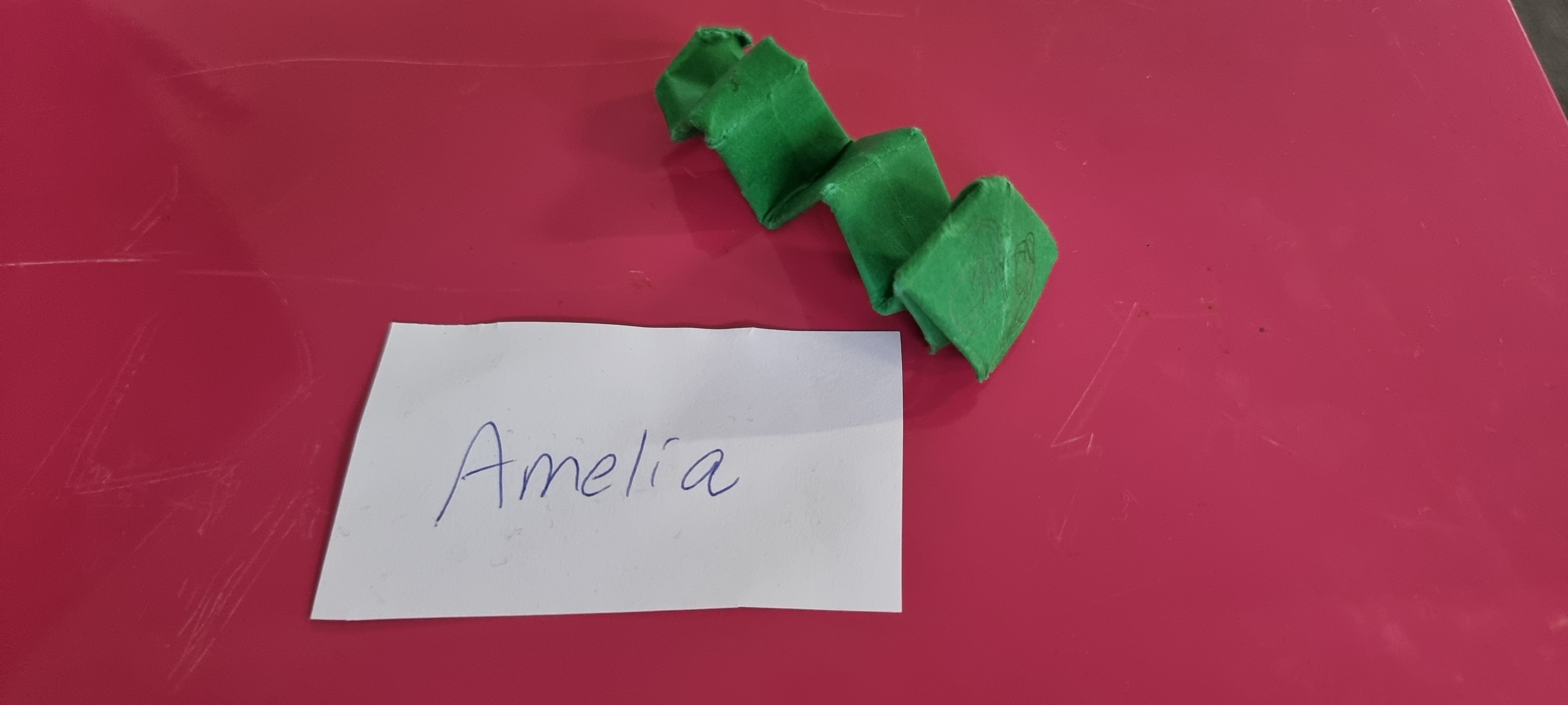 /uploaded_files/media/gallery/1731020466Amelia.jpg